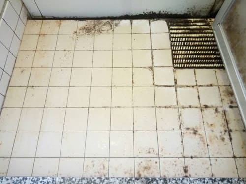 床の施工前写真