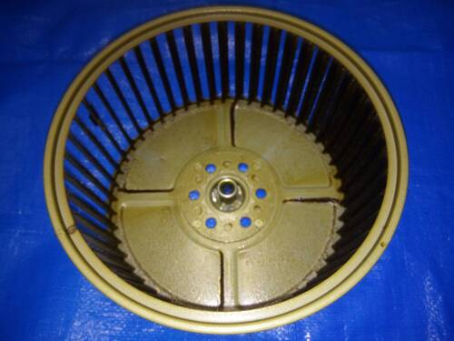 ファンの施工前写真