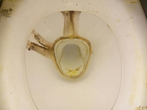 便器の施工前写真